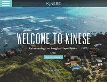 Tablet Screenshot of kinese.com